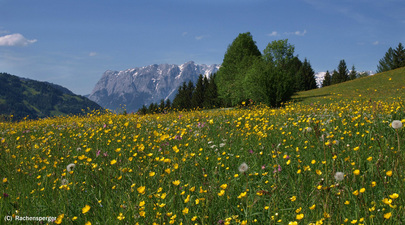 ﻿﻿Die wunderbare Bergwelt des Salzburger Landes lädt zum Wandern ein.